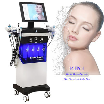 購入 14 イン 1 液体皮膚磨き機 皮膚ケア 液体顔処理機 online manufacture