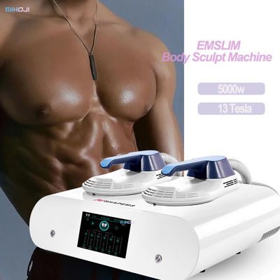 kopen Elektrische lichaamsslankmachine draagbare emsculpt machine voor commerciële online manufacture